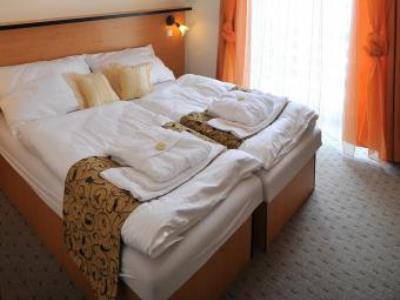Hotel Manes Svratka ภายนอก รูปภาพ